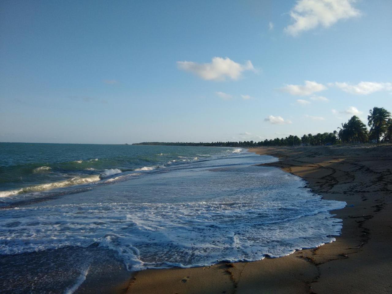 Chalé das Palmeiras Tamandaré Exterior foto